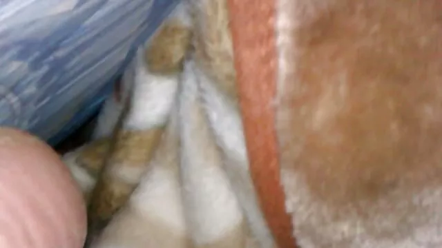 吸うことの事実と人間の寒さの呪われた治療法 女の子 av 動画